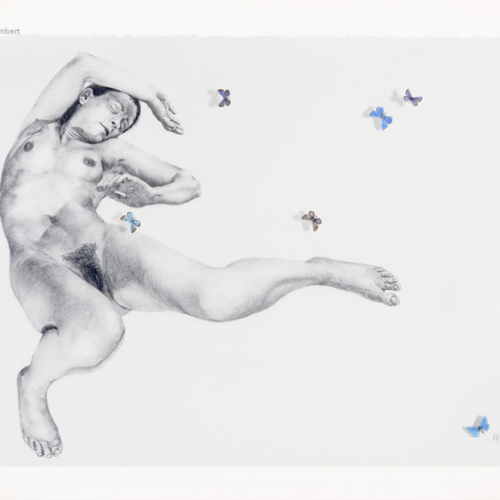 sans_titre_2_butterflies_pinned_and_body_drawing_in_black_stone_on_72_by_90_cm_paper_by_author_Sophie_Rambert