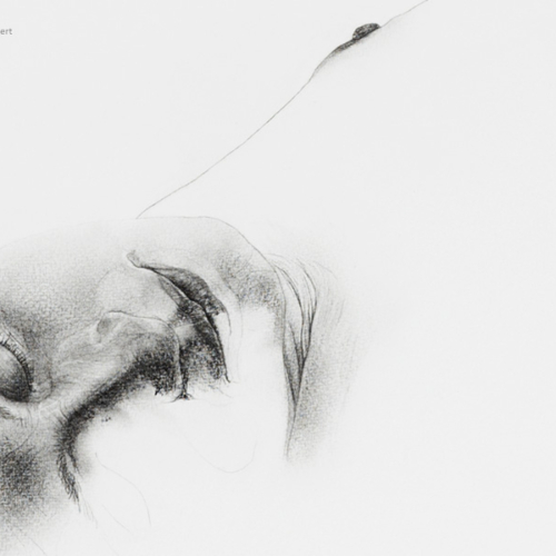 quelque_part_dans_l_inacheve_detail_body_drawing_in_black_stone_on_100_by_136_cm_paper_by_author_Sophie_Rambert