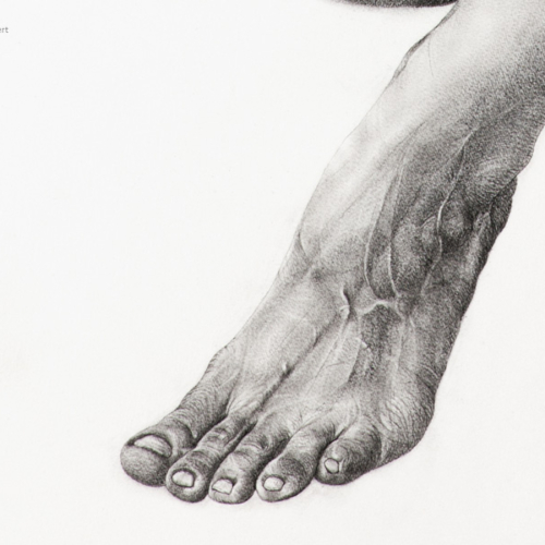 sans_nom_3_body_drawing_in_black_stone_on_144_by_103_cm_paper_by_author_Sophie_Rambert