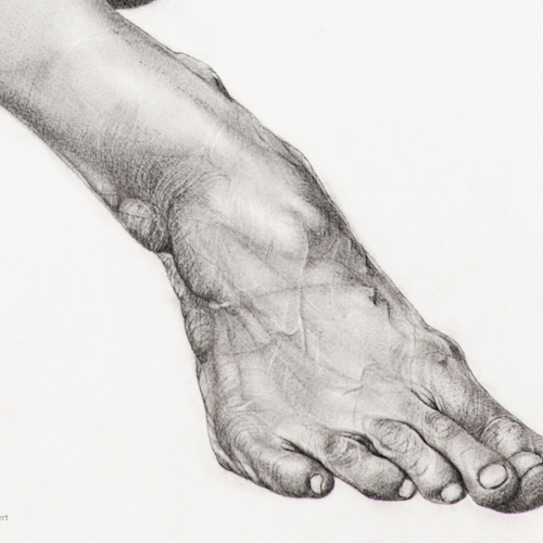sans_nom_3_body_drawing_in_black_stone_on_144_by_103_cm_paper_by_author_Sophie_Rambert
