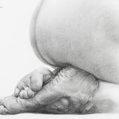 sans_nom_6_body_drawing_in_black_stone_on_101_by_145_cm_paper_by_author_Sophie_Rambert