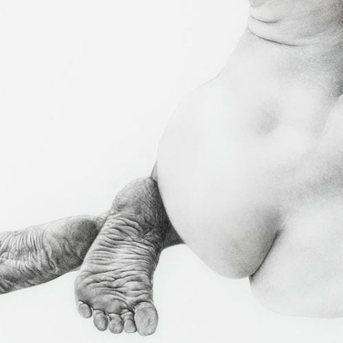sans_nom_8_body_drawing_in_black_stone_on_130_by_106_cm_paper_by_author_Sophie_Rambert