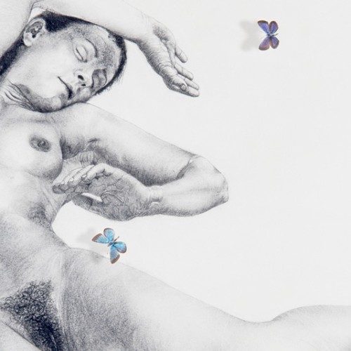 sans_titre_2_detail_butterflies_pinned_and_body_drawing_in_black_stone_on_72_by_90_cm_paper_by_author_Sophie_Rambert